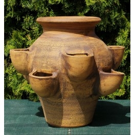 Jahodník 27x43cm