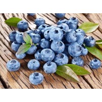 Čučoriedky - Vaccinium corymbosum ´Duke´ Co2,5L  30/40